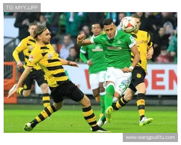 开云体育网页版入口地址全面解析让你轻松畅享线上体育竞技体验