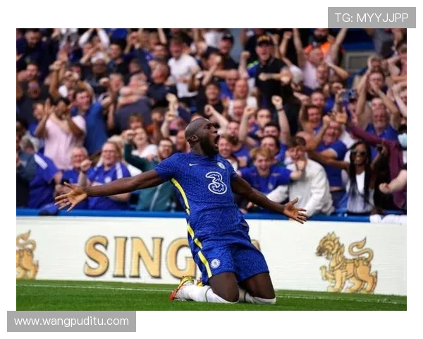 如何准确查询米兰体育官方网站地址确保安全访问与信息更新