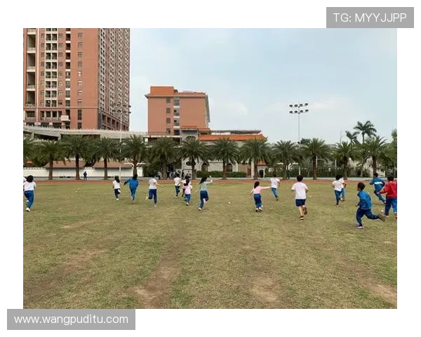 熊猫体育试玩体验指南帮助新手快速上手体育游戏的实用技巧